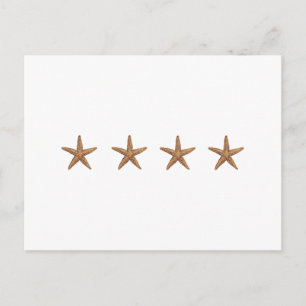 Starfish - Northern Sea Star Postcard