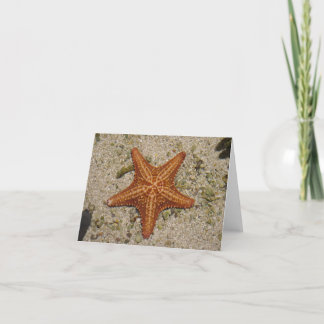Starfish notecard