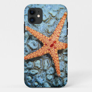 Starfish On A Coral With Polips iPhone 11 Case
