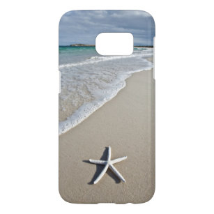 Starfish On A Remote Beach