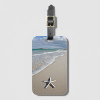 Starfish On A Remote Beach