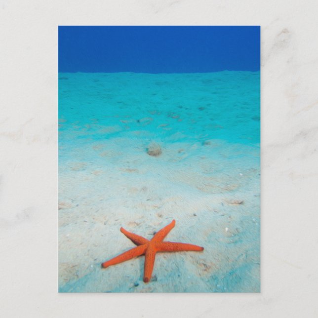 Starfish on a sand dune underwater postcard (Front)