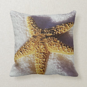 Starfish On A Towel Cushion