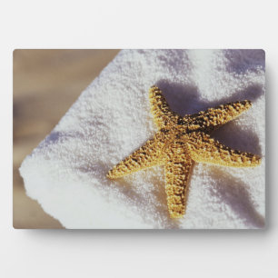 Starfish On A Towel Plaque