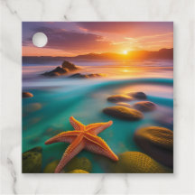 Starfish on beach at Dawn 