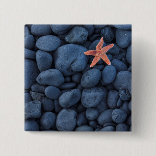 Starfish On Black Rocks Along The Coast Iceland 15 Cm Square Badge