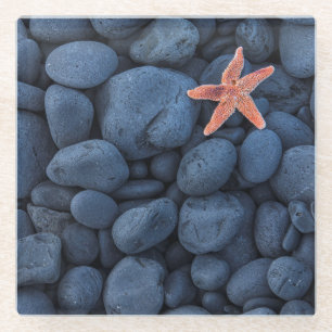 Starfish On Black Rocks Along The Coast   Iceland Glass Coaster