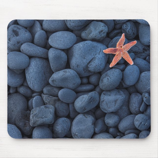 Starfish On Black Rocks Along The Coast | Iceland Mouse Pad (Front)
