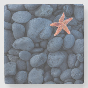 Starfish On Black Rocks Along The Coast Iceland Stone Coaster