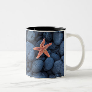 Starfish On Black Rocks Along The Coast Iceland Two-Tone Coffee Mug