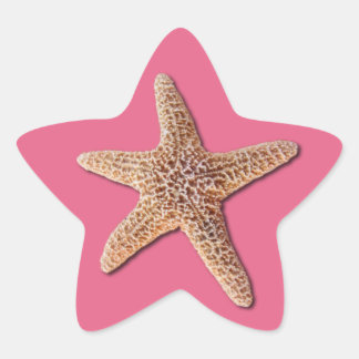 Starfish on pantone Honeysuckle 2011 Star Sticker