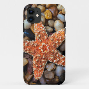 Starfish On Rocks iPhone 11 Case