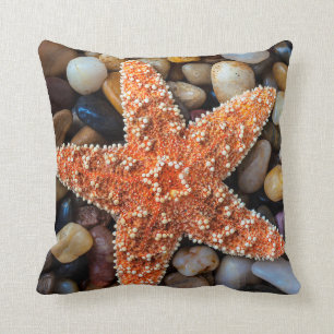 Starfish On Rocks Cushion