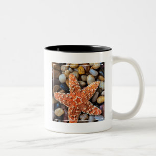 Starfish On Rocks Two-Tone Coffee Mug
