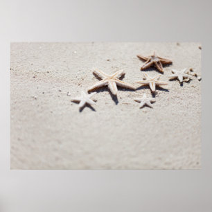 Starfish on sand poster