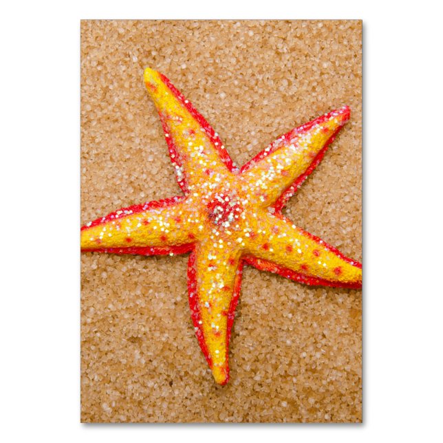 Starfish on Sand Table Number (Front)