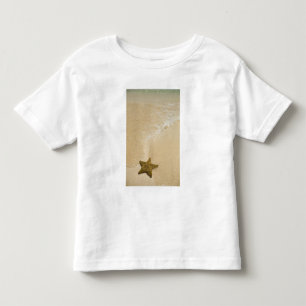 Starfish on sandy beach, Gibbs Cay Land Toddler T-Shirt