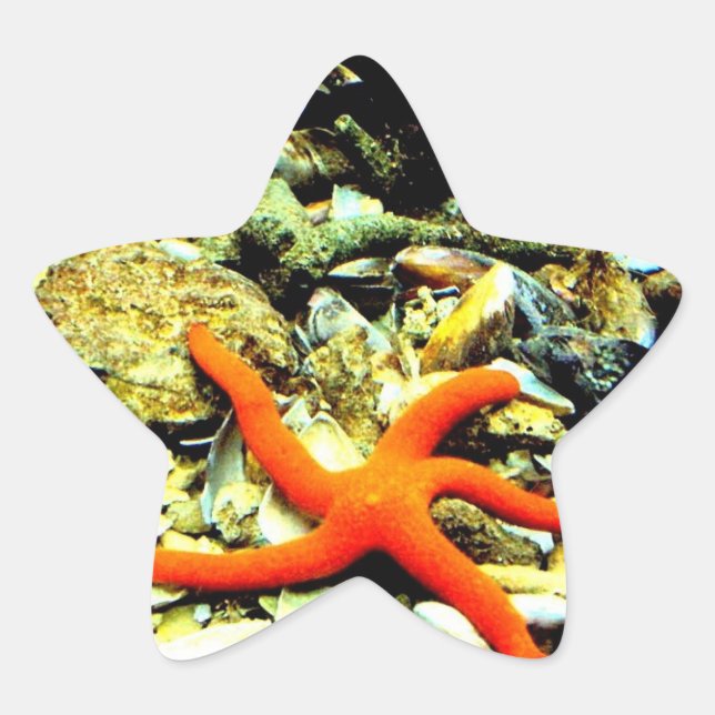 Starfish on Star Sticker (Front)