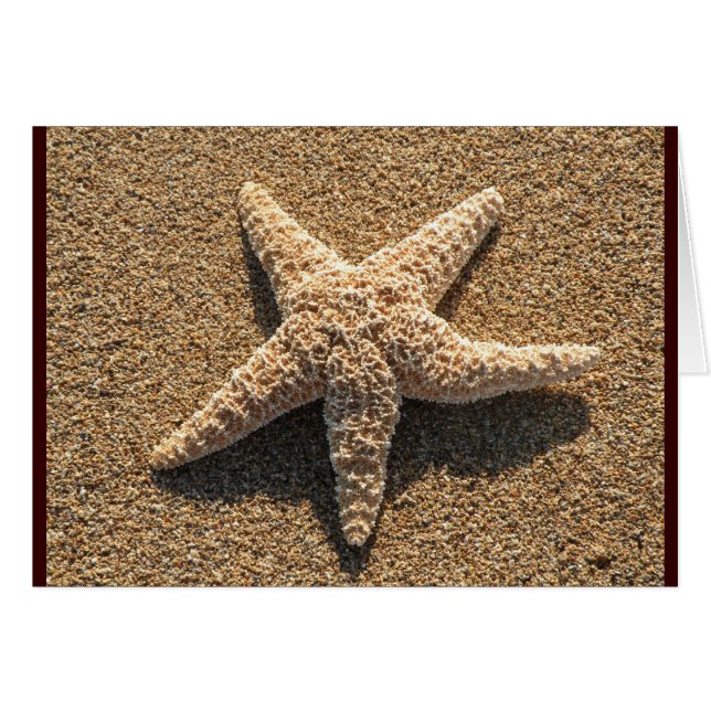 Starfish on the beach (Front Horizontal)