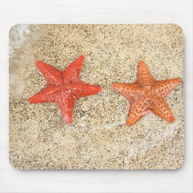 starfish on the beach, at the edge of the ocean mouse pad (Front)