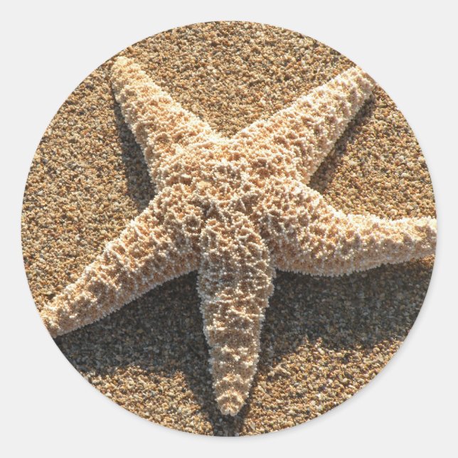 Starfish on the beach classic round sticker (Front)