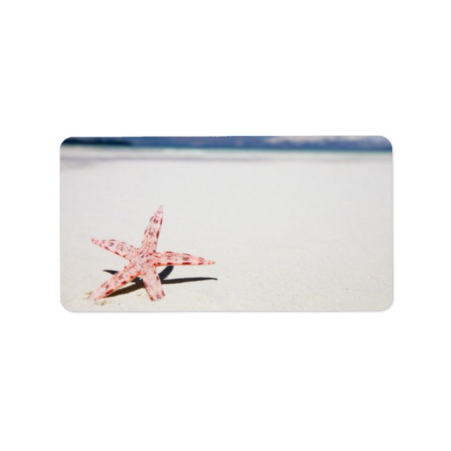 Starfish on the beach label (Front)