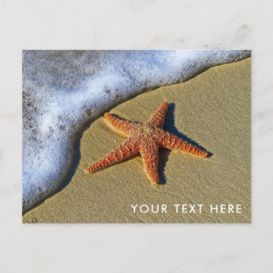 Starfish on the Beach Postcard