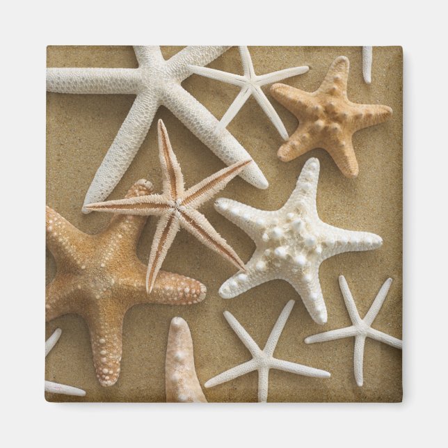 Starfish On The Sand Magnet (Front)