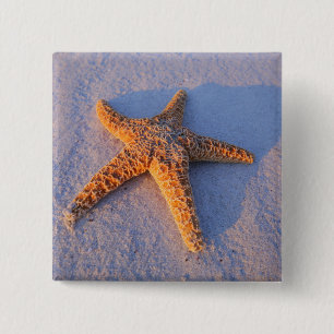 Starfish On White Sand 15 Cm Square Badge