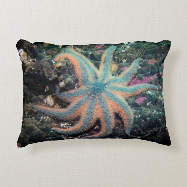 Starfish outdoor pillow (Front)