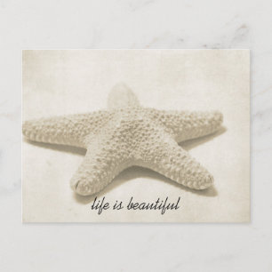 Starfish Postcard