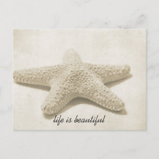 Starfish Postcard