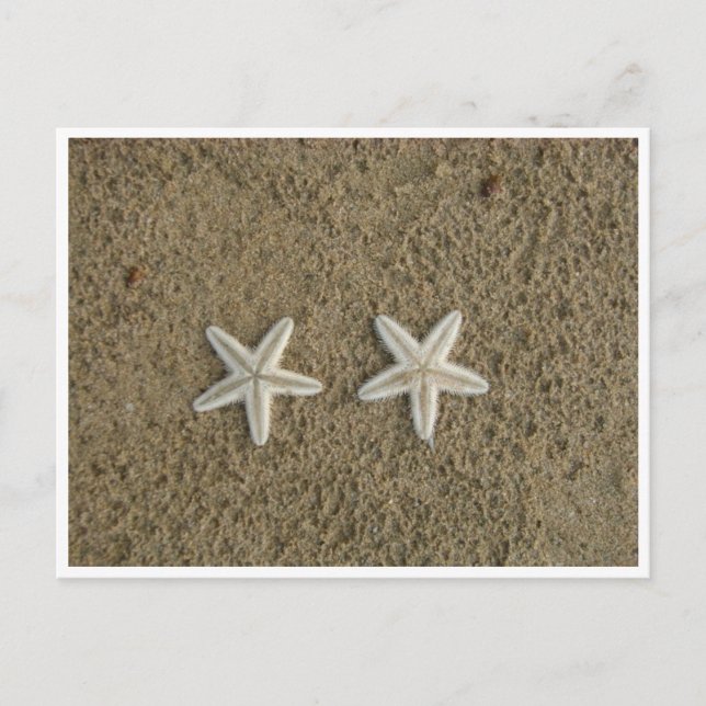 STARFISH POSTCARD (Front)