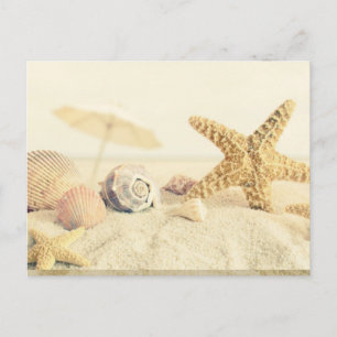 Starfish Postcard