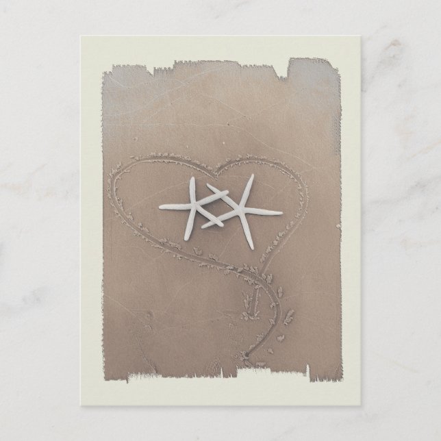 Starfish Postcard (Front)