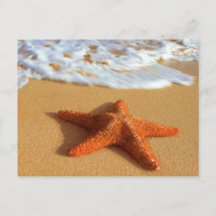 Starfish Postcard