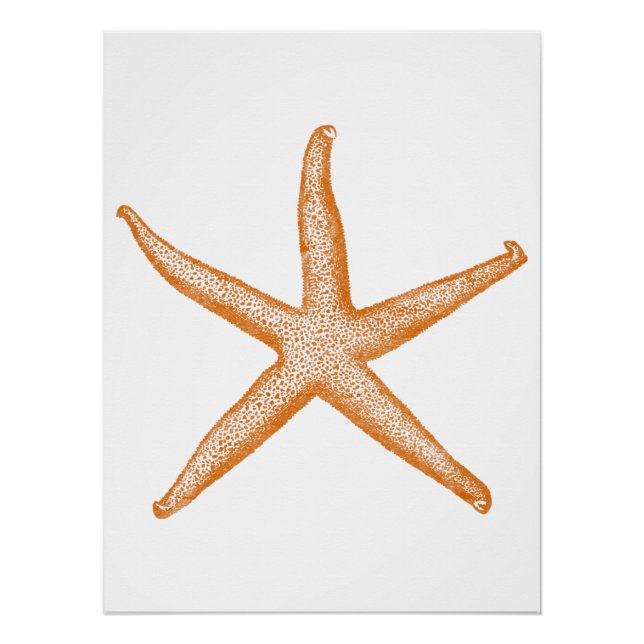 Starfish Poster (Front)