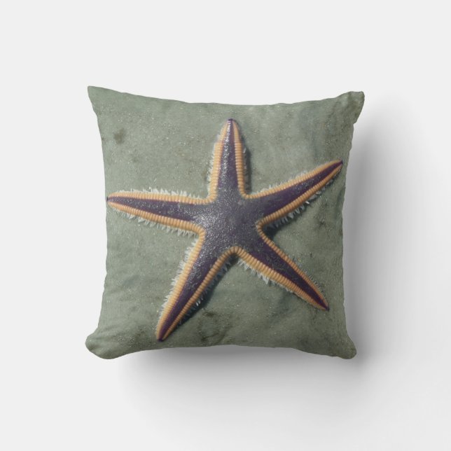 Starfish Purple sea star on beach Cushion (Front)