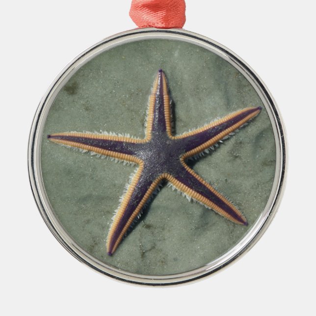 Starfish Purple sea star on beach Metal Ornament (Front)