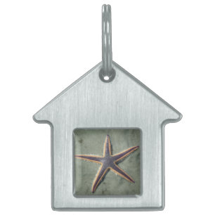 Starfish Purple sea star on beach Pet Tag
