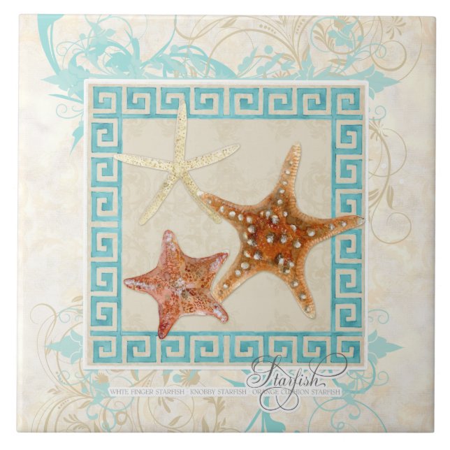 Starfish Sea Shells Ocean Greek Key Pattern Beach Ceramic Tile (Front)