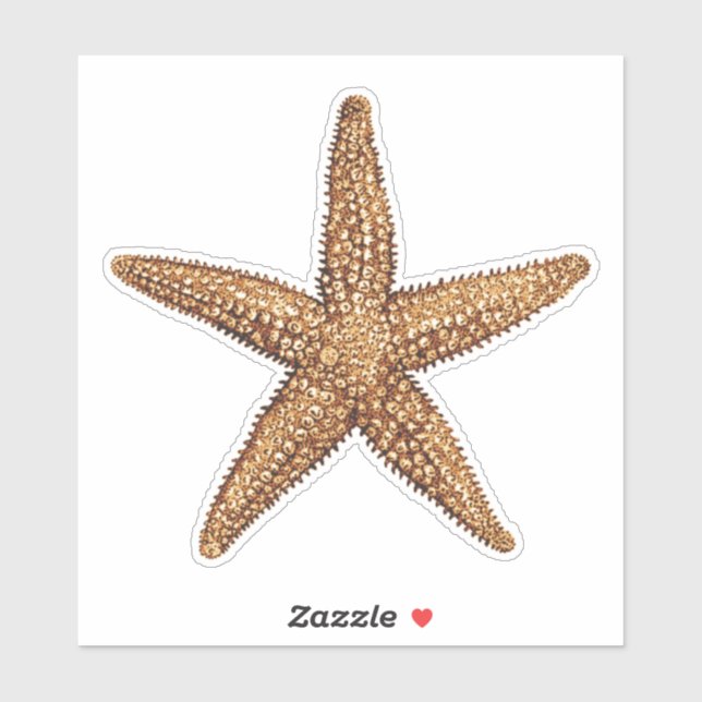 Starfish - Sea Star (Sheet)