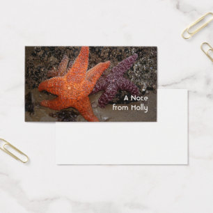 Starfish/Sea Stars, Cannon Beach OR, Photo 1