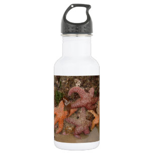 Starfish/Sea Stars in Cannon Beach, OR, Photo 4 532 Ml Water Bottle