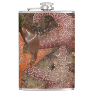 Starfish/Sea Stars in Cannon Beach, OR, Photo 4 Hip Flask