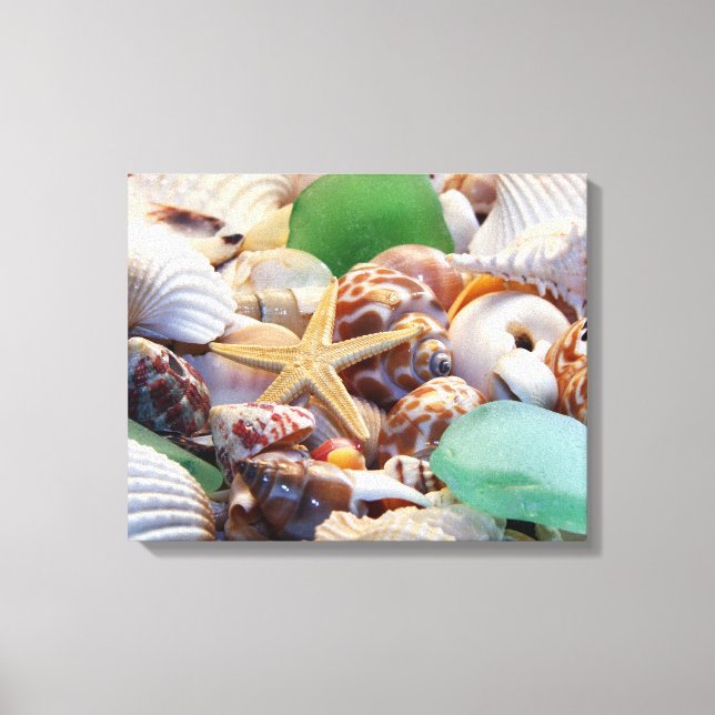 Starfish & Seashells Canvas Wrap Print (Front)