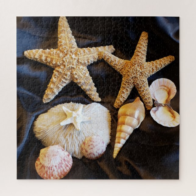 starfish seashells sealife beach still life photo jigsaw puzzle (Vertical)