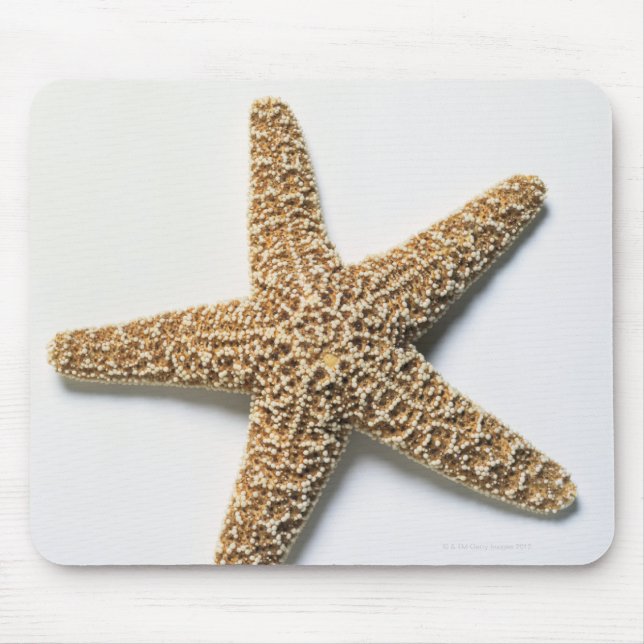 Starfish shell on white background mouse pad (Front)
