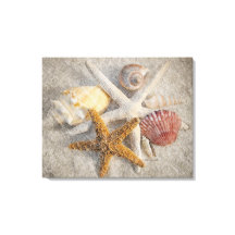 Starfish/Shell/Sand Beach Still Life