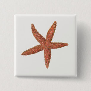 Starfish - Sherman Denton Fish Lithograph 15 Cm Square Badge